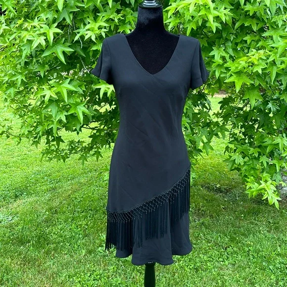 S.L. Fashions | Dresses | Sl Fashions Petite Dress With Fringe | Poshmark